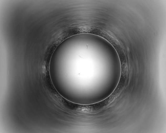 X0000096450655200801241419