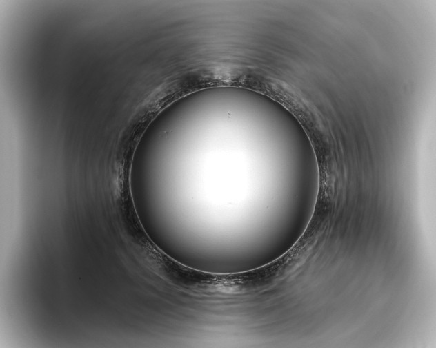 X0000096450656200801241419