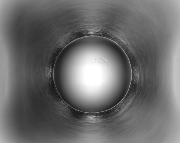 X0000096450657200801241419