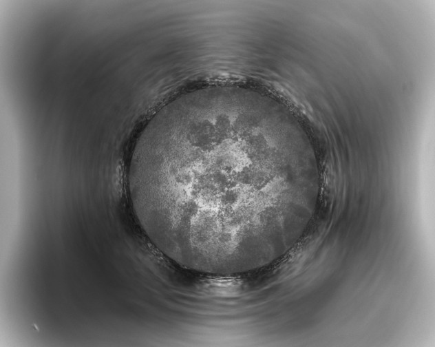 X0000096450659200801241419
