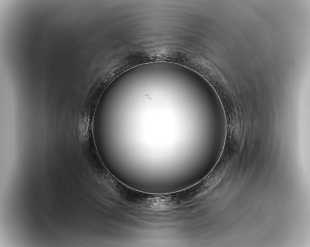 X0000096450660200801241419