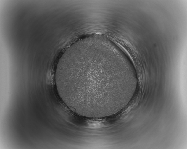 X0000096450661200801241419