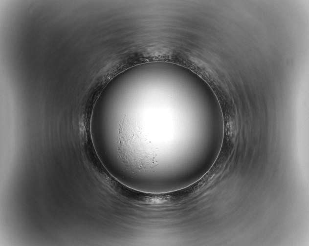 X0000096450662200801241420