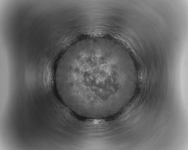 X0000096450663200801241420