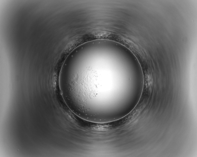 X0000096450664200801241420