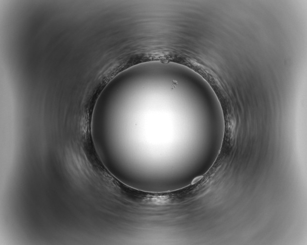 X0000096450665200801241420