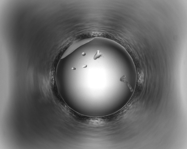 X0000096450666200801241420