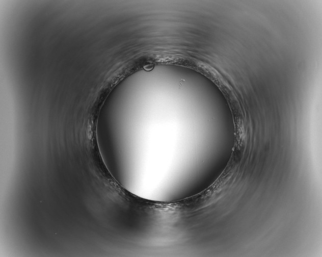 X0000096450667200801241420