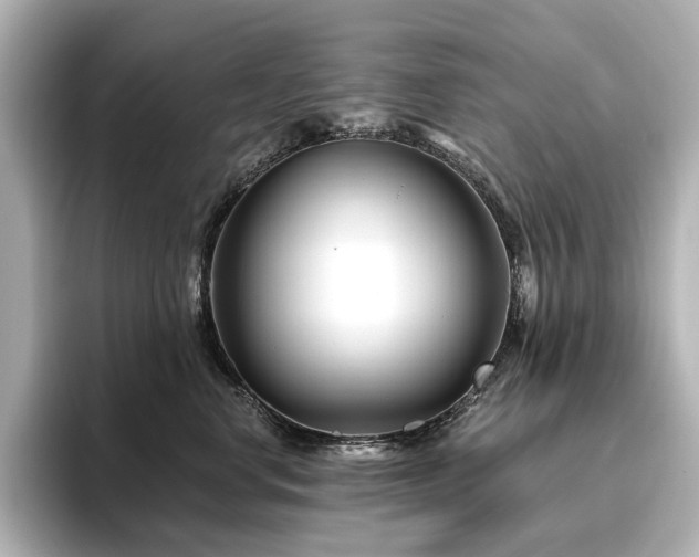 X0000096450668200801241420