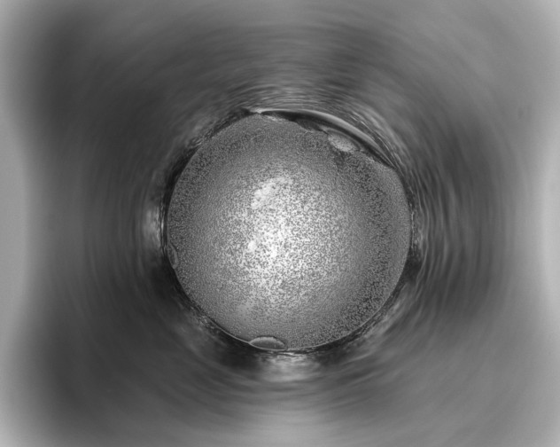 X0000096450669200801241420