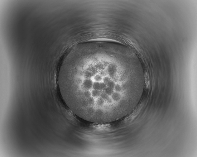 X0000096450670200801241420