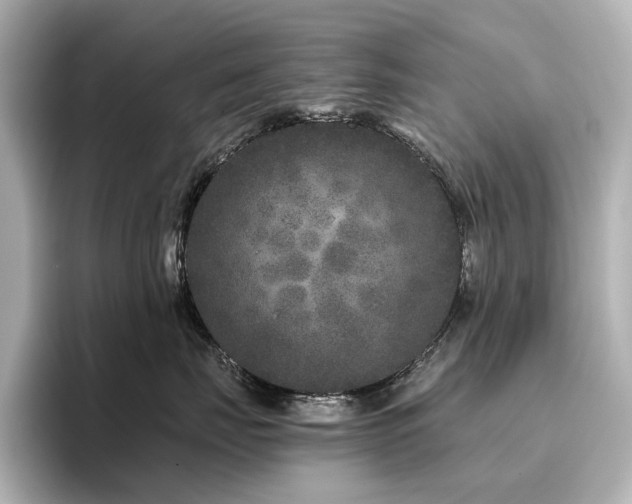 X0000096450671200801241420