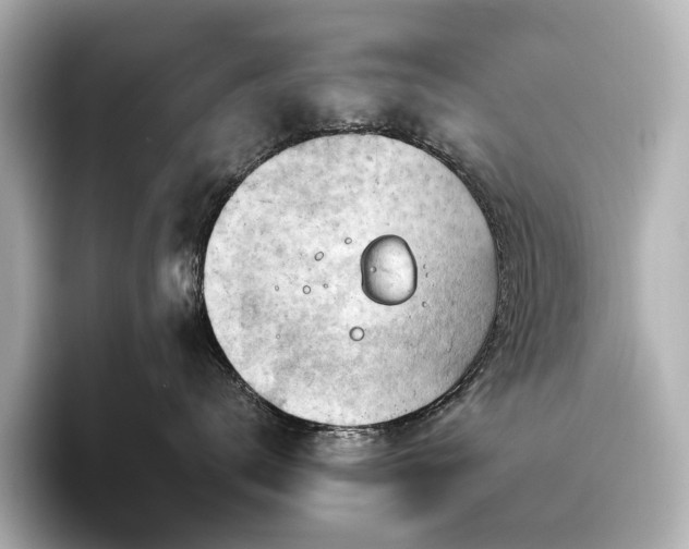 X0000096450672200801241420