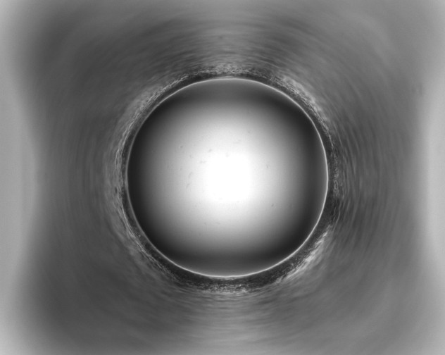 X0000096450673200801241419