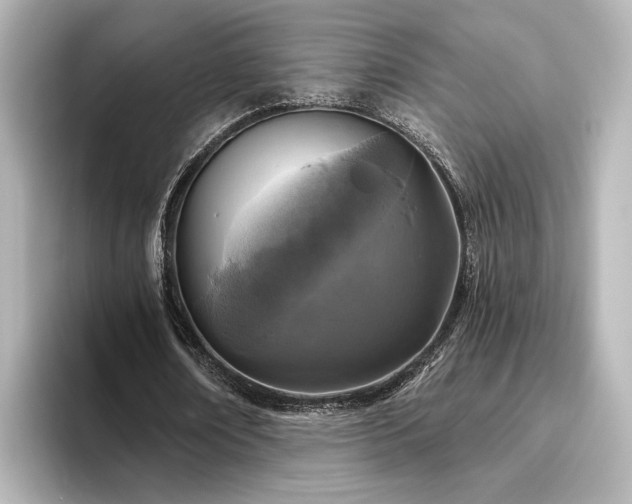 X0000096450674200801241419