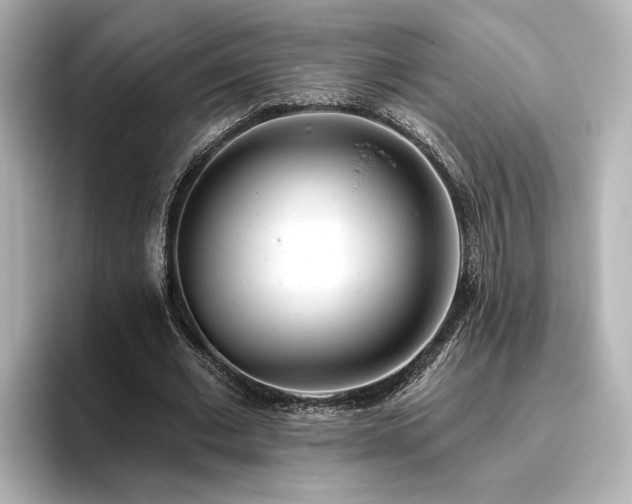 X0000096450677200801241419