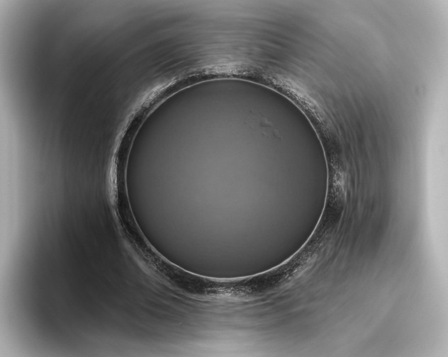 X0000096450678200801241419