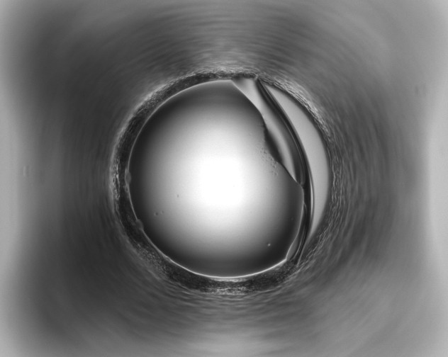 X0000096450680200801241419