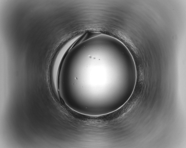 X0000096450681200801241419