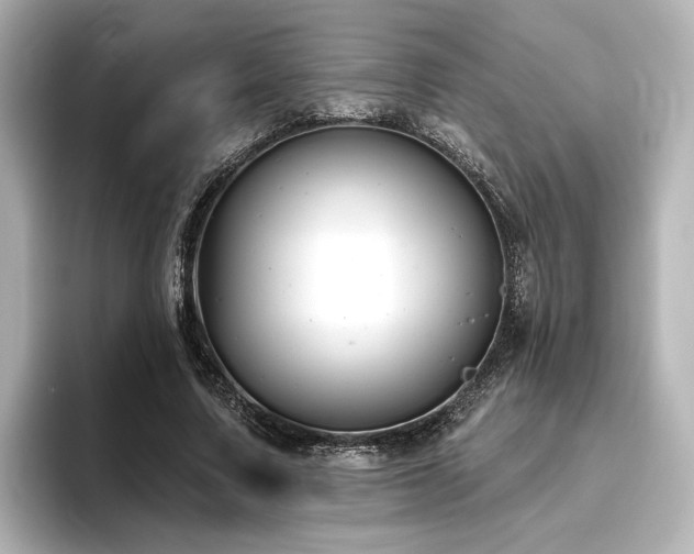 X0000096450683200801241419