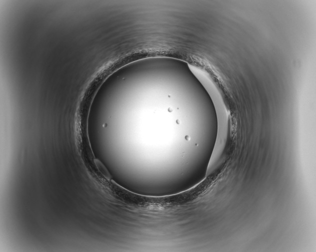 X0000096450684200801241419