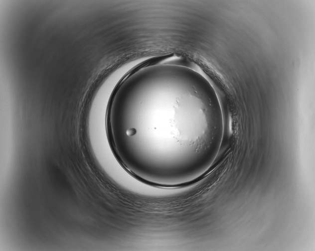 X0000096450685200801241419