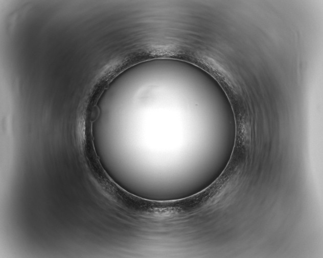 X0000096450686200801241419