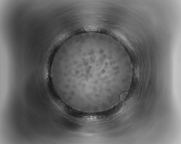 X0000096450687200801241419
