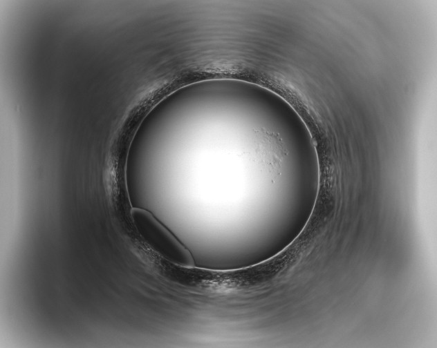 X0000096450688200801241419