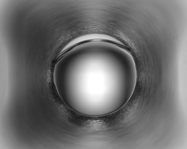 X0000096450689200801241419