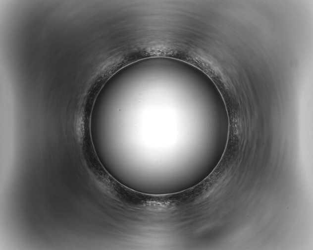 X0000096450690200801241419