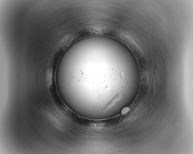 X0000096450694200801241419