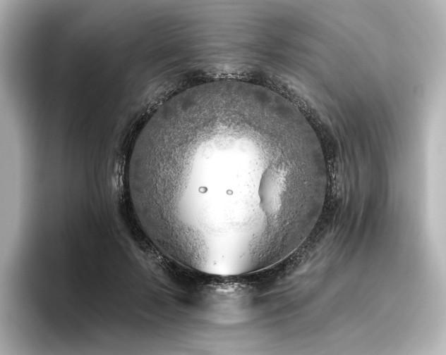 X0000096450695200801241419