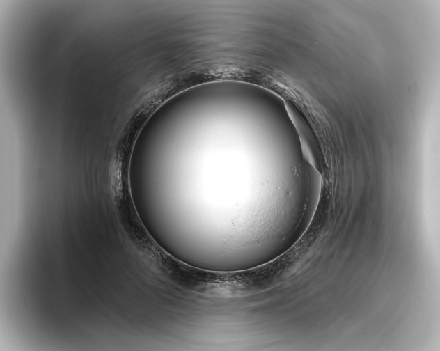 X0000096450696200801241419