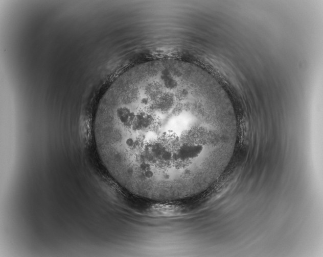 X0000096450699200801241419