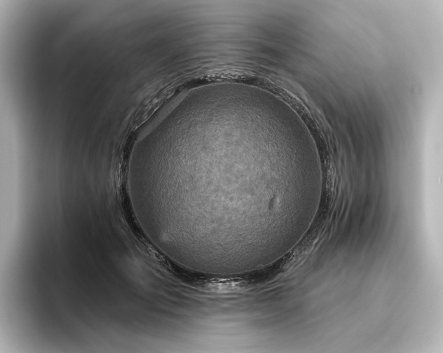 X0000096450701200801241419