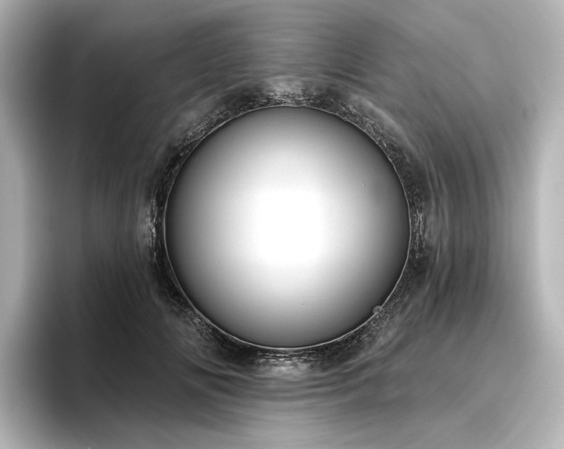 X0000096450702200801241419