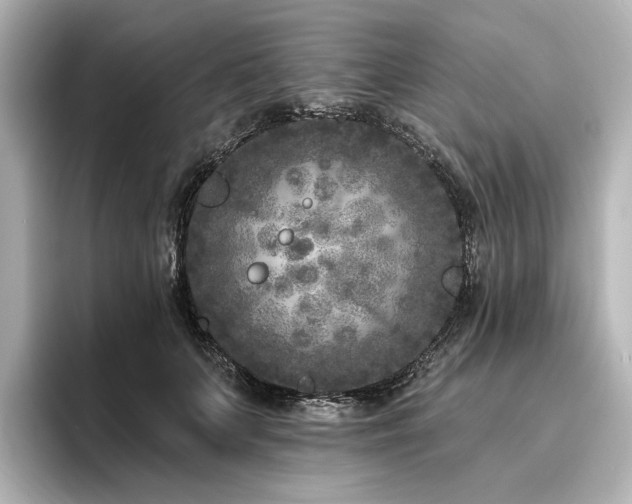 X0000096450703200801241419
