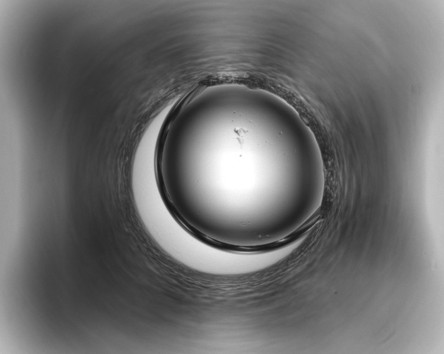 X0000096450704200801241419