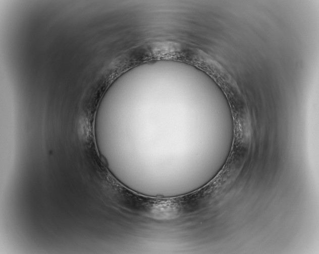 X0000096450705200801241419