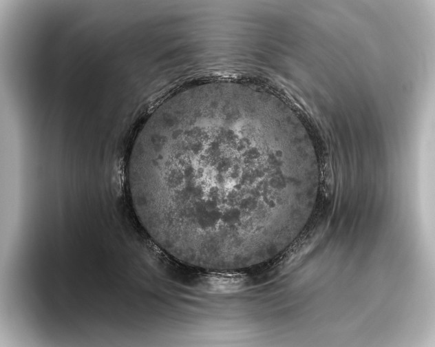 X0000096450707200801241419