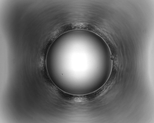 X0000096450708200801241419