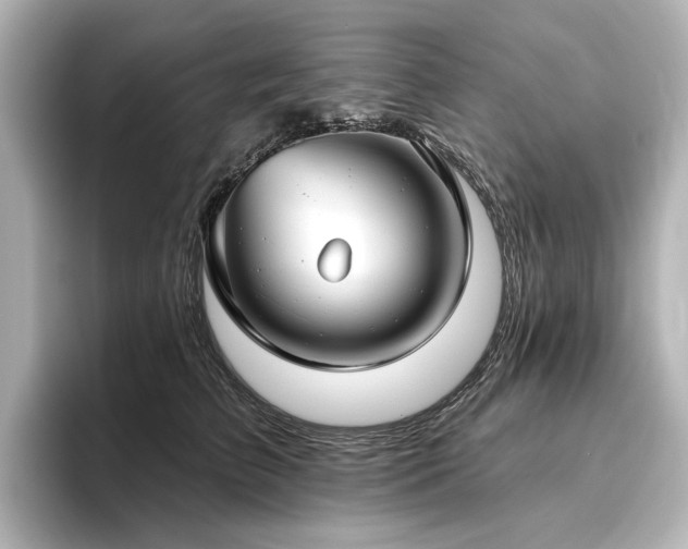 X0000096450709200801241419