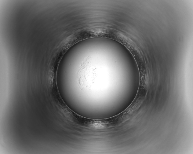 X0000096450710200801241419