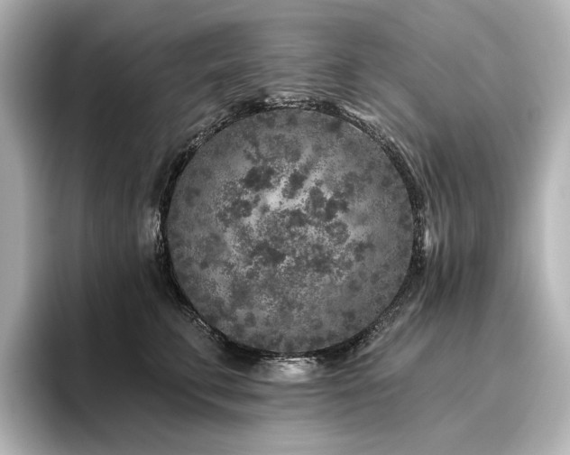 X0000096450711200801241419