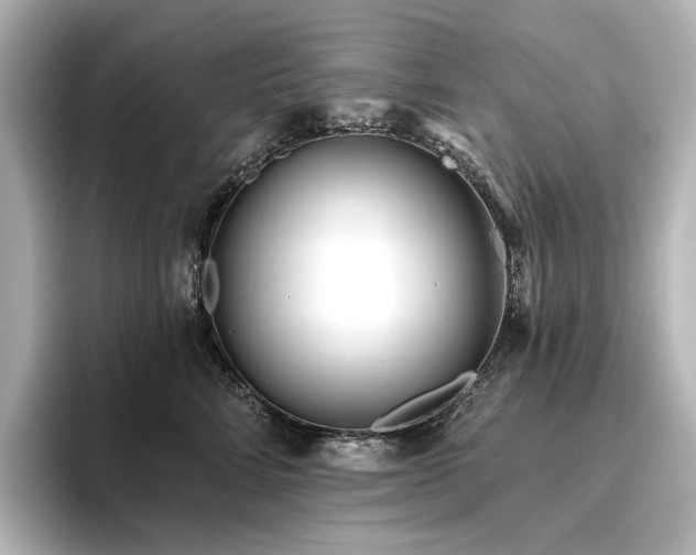 X0000096450712200801241419