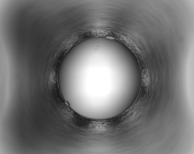 X0000096450713200801241418