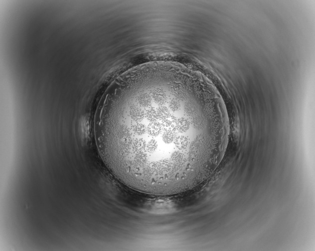 X0000096450715200801241418