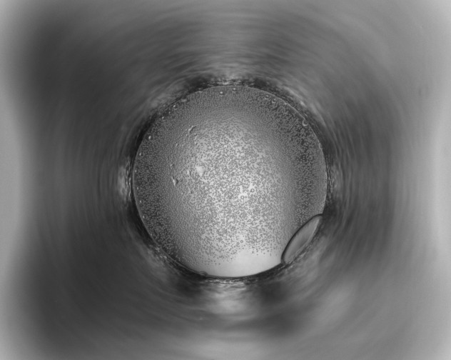 X0000096450719200801241418