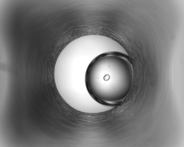 X0000096450720200801241418
